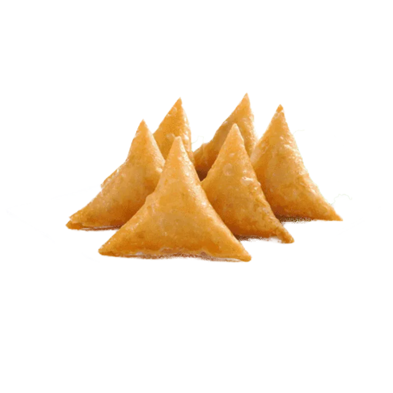 Chicken Samosa